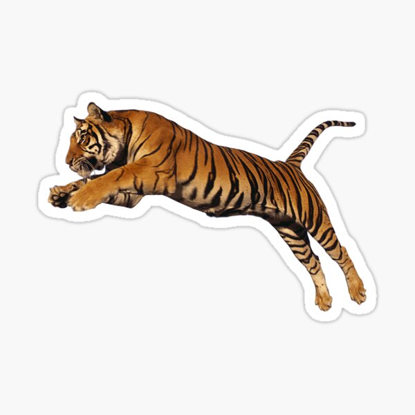 Produits Sur Le Theme Joli Tigre Redbubble