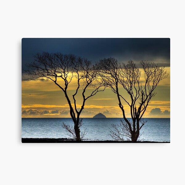 Aswaldi Horseshoe Bay on Canvas by Craig Melville Print 17 Stories Size: 12 H x 36 W x 1.5 D