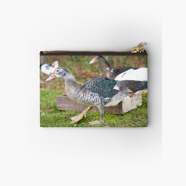 Item preview, Young Muscovy Duck birds  designed and sold by Arletta Cwalina.