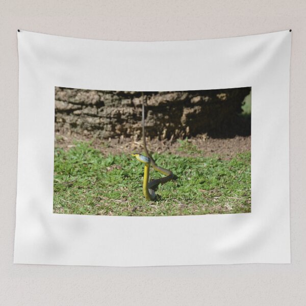 Item preview, Green Tree Snake designed and sold by CodyLaskeyPhoto.