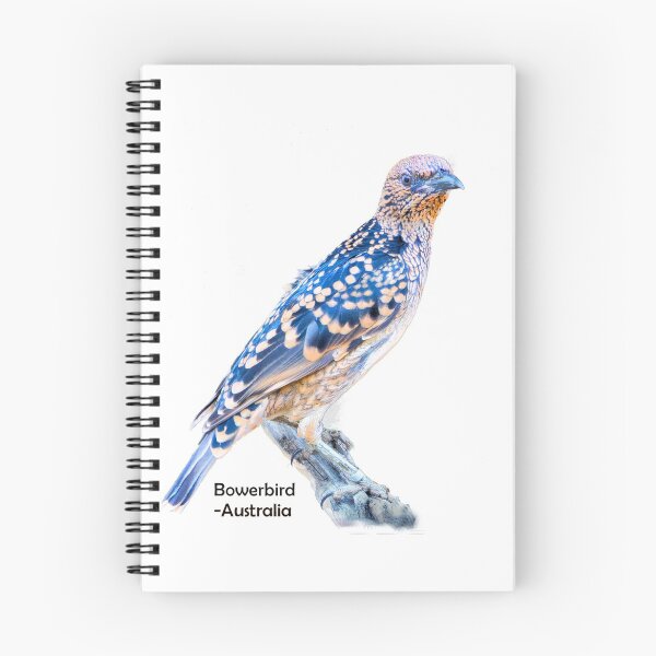 Item preview, Western Bowerbird, Alice Springs, Australia designed and sold by Geoffrey Higges.