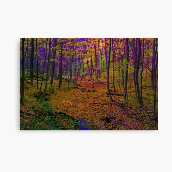 Wanderland Canvas Print