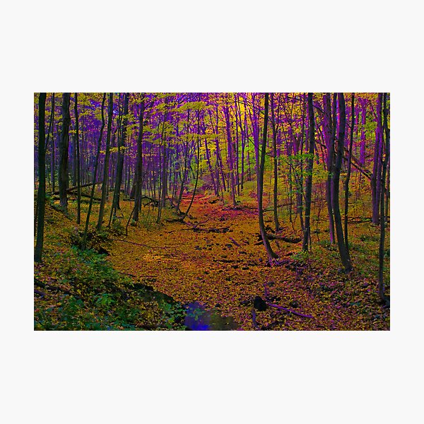Wanderland Photographic Print