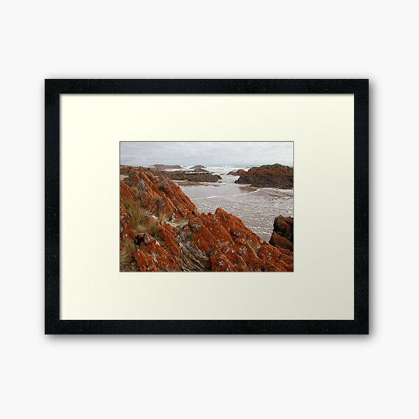 Item preview, Red Lichen on Rocks, Arthur River, Tasmania, Australia. designed and sold by kaysharp.