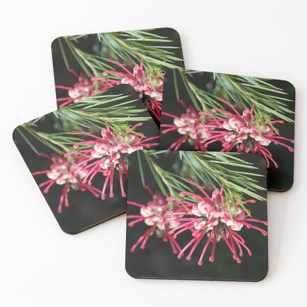 Item preview, Grevilleas Of Australia designed and sold by Joy Watson - Natural Light Photography .