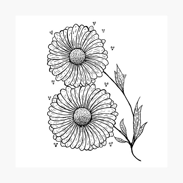 Item preview, Spring chamomiles designed and sold by termitart.