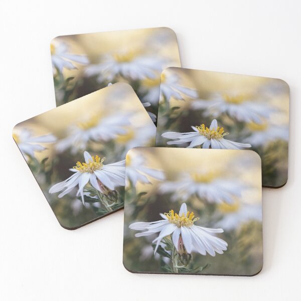 Artikelvorschau, Western Australian Daisy Wildblume entworfen und verkauft von Life Images by Jill .
