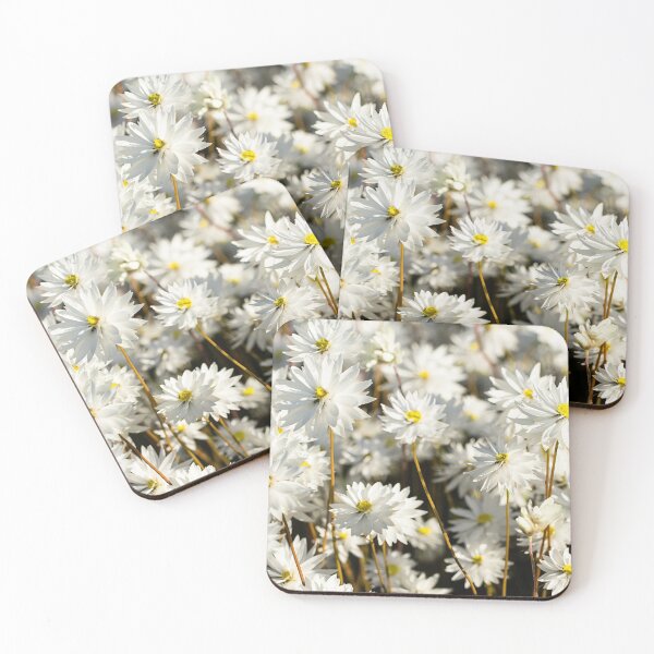 Item preview, Western Australian wildflower - everlasting daisies designed and sold by Life Images by Jill .