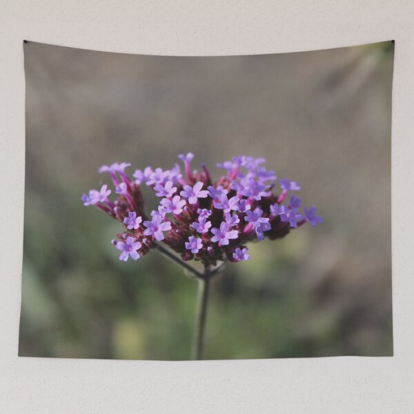Item preview, Photography Close-up of a violet flower designed and sold by PM-Artistic.
