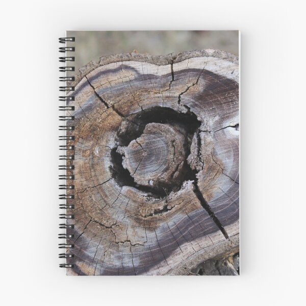 Item preview, Photography close up of a tree trunk designed and sold by PM-Artistic.