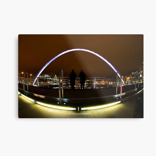 The view Metal Print