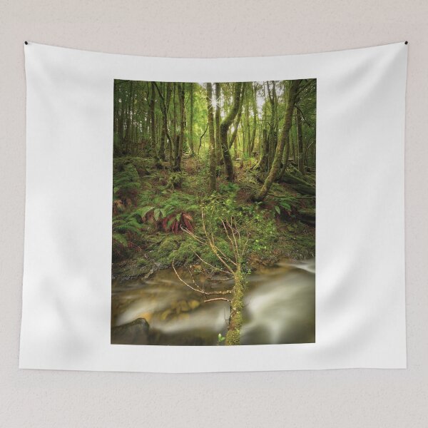 Item preview, Arthur River rainforest, Tasmania designed and sold by Kevin McGennan.