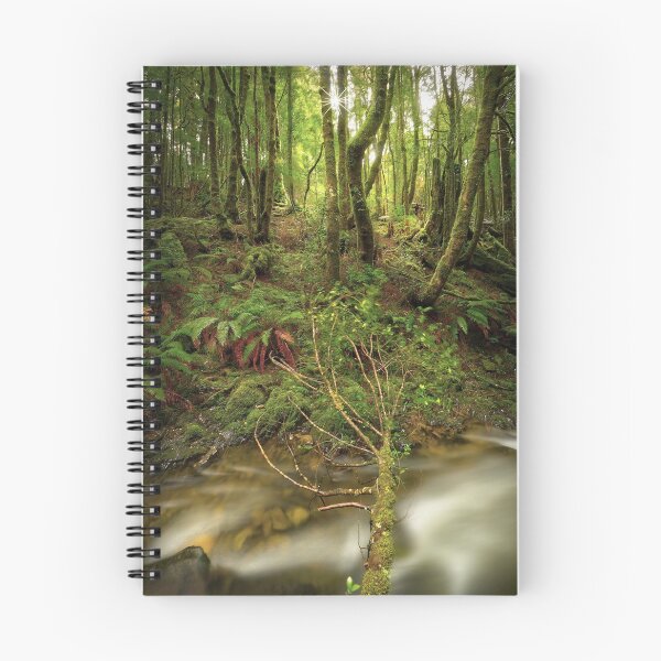 Item preview, Arthur River rainforest, Tasmania designed and sold by Kevin McGennan.
