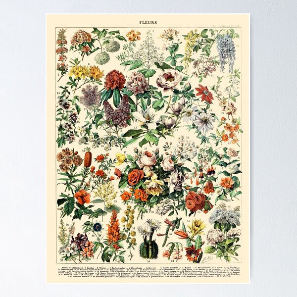 Item preview, Vintage Botanical Wall Art Flower Poster designed and sold by Sintija BILIKA.