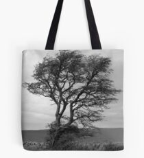 The Drystone Tree Tote Bag