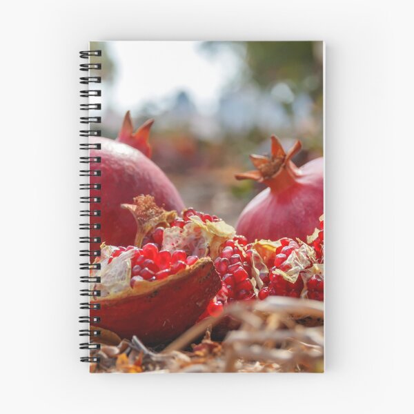 Item preview, Ripe pomegranate fruits fallen from a tree lying on the ground among the dried grass and leaves designed and sold by EG Creativity Art.
