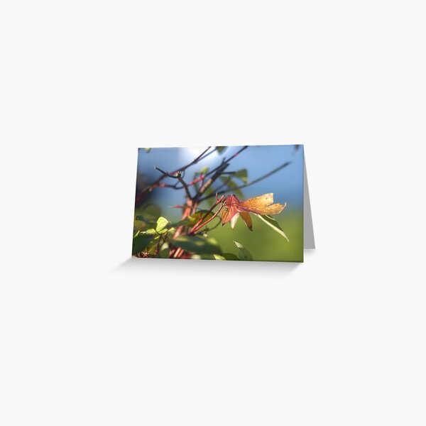 Autumn Greeting Card