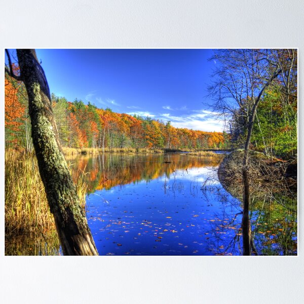 Item preview, Windham In the Fall designed and sold by Chad Council.