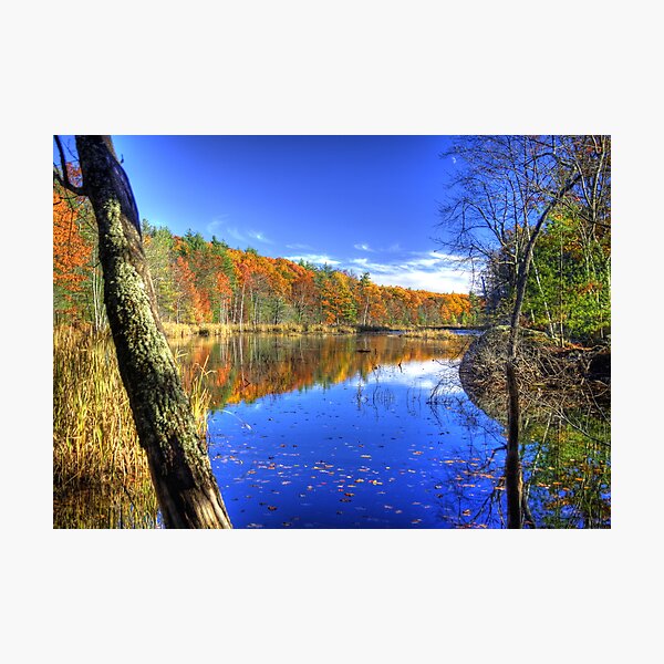 Item preview, Windham In the Fall designed and sold by Chad Council.
