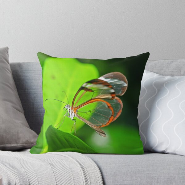 Item preview, Transparant Butterfly designed and sold by sadamstevenco.