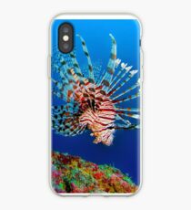 Lionfish at Apo Reef iPhone Case