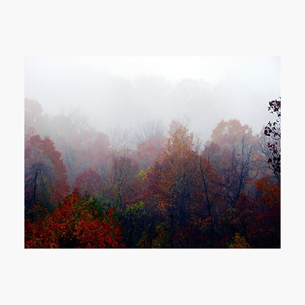 All The Leaves Are Brown, And The Skies Are Gray Photographic Print