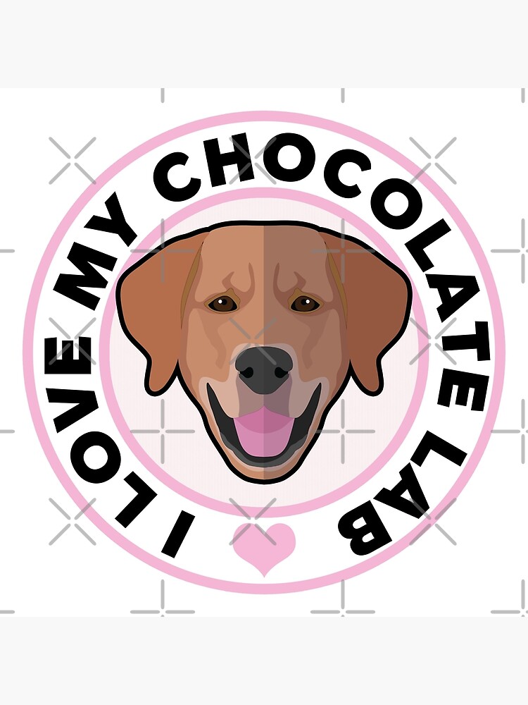 I love outlet my chocolate lab