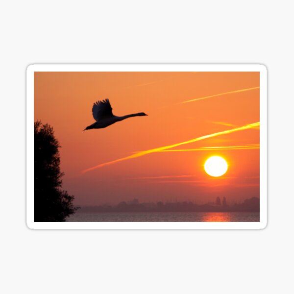 Item preview, Follow the Sun designed and sold by Jo Nijenhuis.