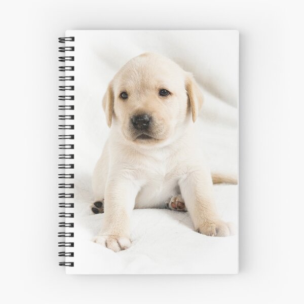 Artikelvorschau, Netter kleiner goldener Labrador-Welpe entworfen und verkauft von HaleyRedshaw.