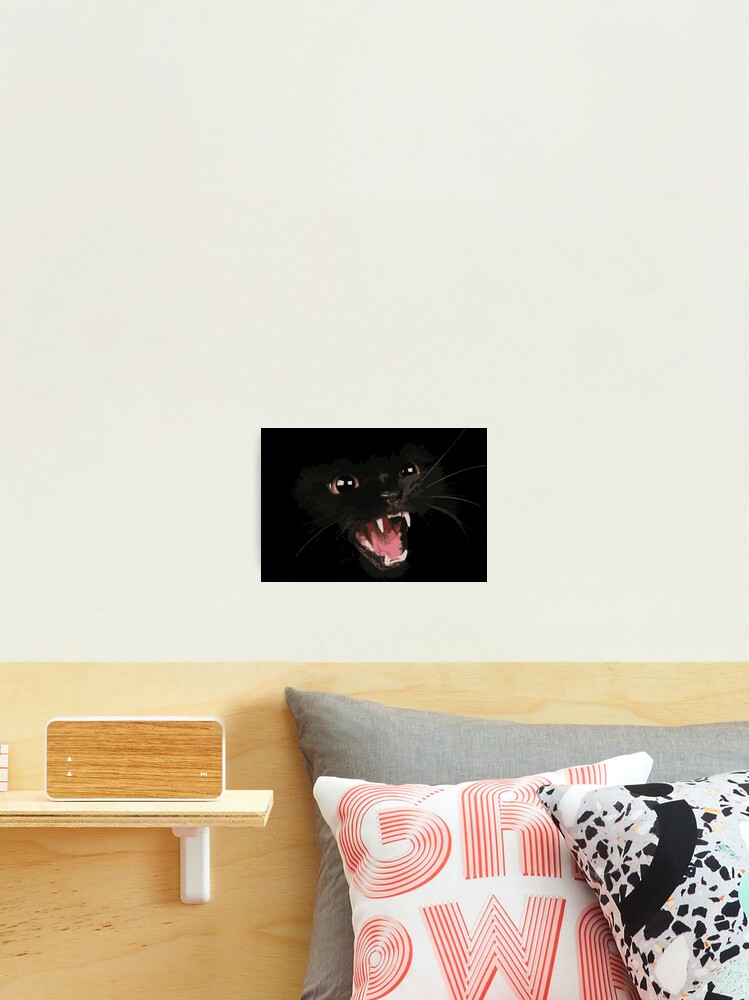 Impression Photo Chat Noir En Colere Par Richdelux Redbubble