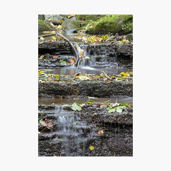 Aperçu de l'œuvre Chute d'eau d'automne créée et vendue par Louise  Corr.