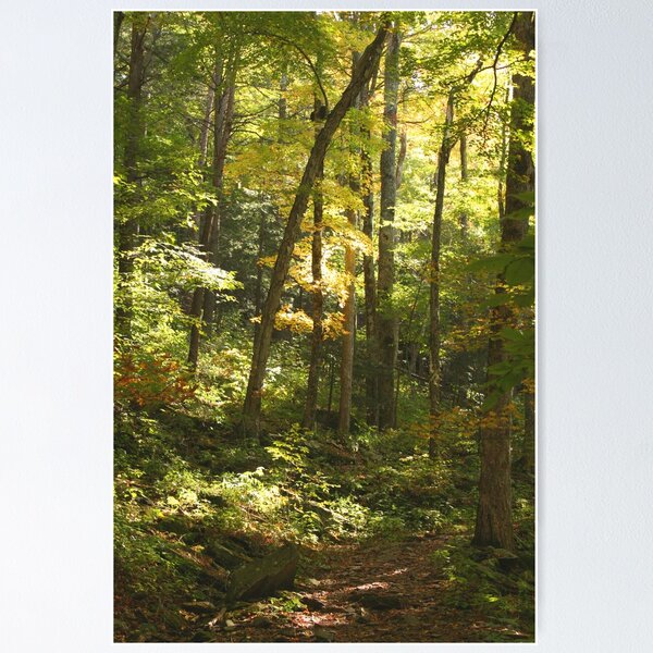 Item preview, Guiding Light designed and sold by Melissa Wuerthner.