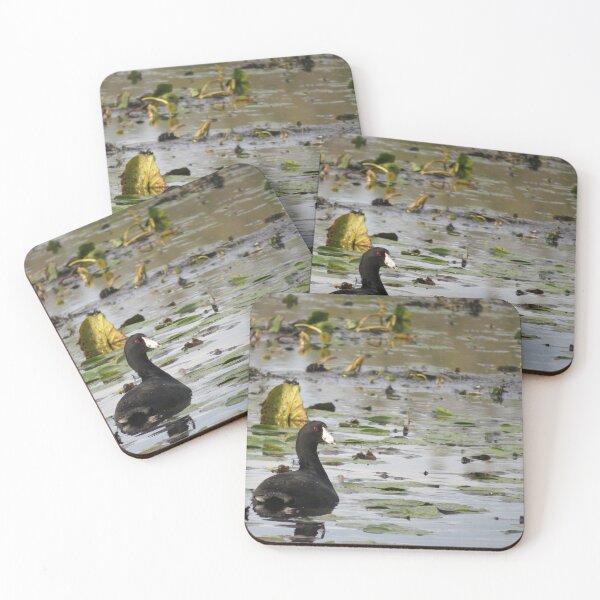 Item preview, Coot designed and sold by catrantula.