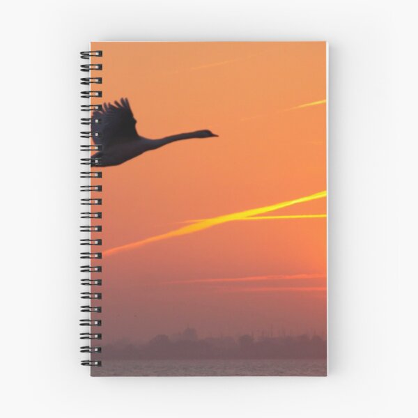 Item preview, Follow the Sun designed and sold by Jo Nijenhuis.