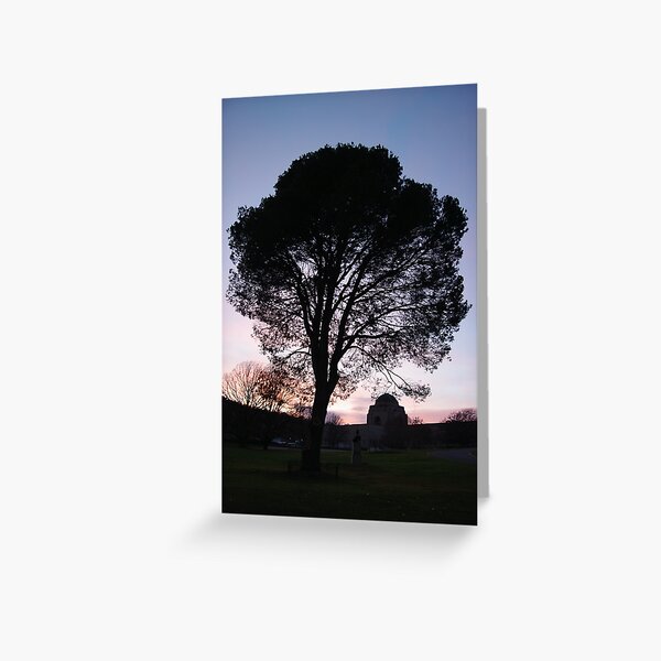 Lone Pine Greeting Card