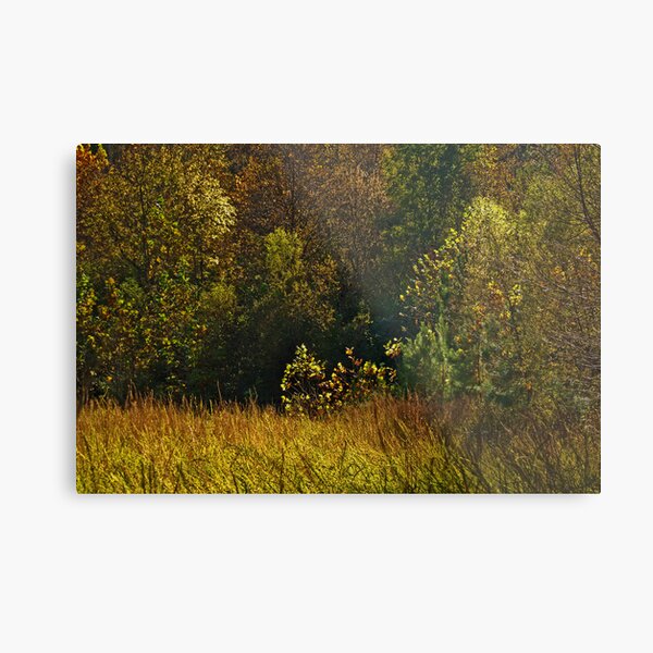 Field on Fire Metal Print
