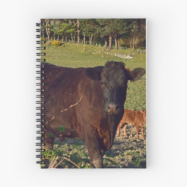 Item preview, Cattle Call. designed and sold by Michael Haslam.