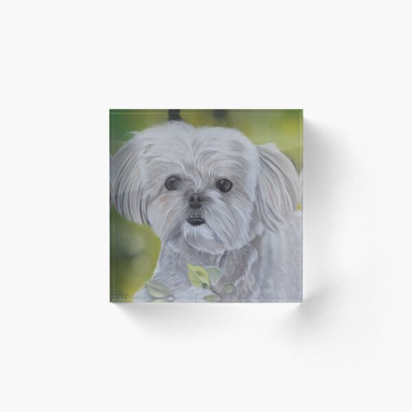 Chien aux pastels Bloc acrylique