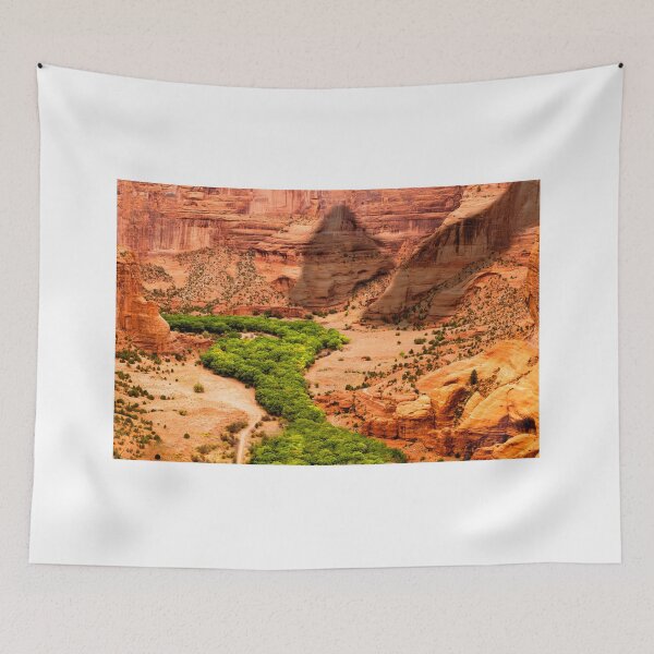 Item preview, Canyon De Chelly designed and sold by BGSPhoto.
