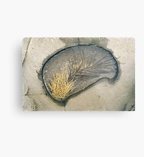 Rock pool 1 Metal Print