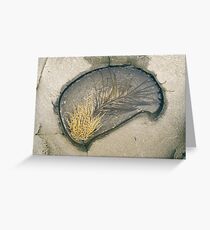 Rock pool 1 Greeting Card