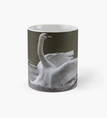 Mute Swan Mug