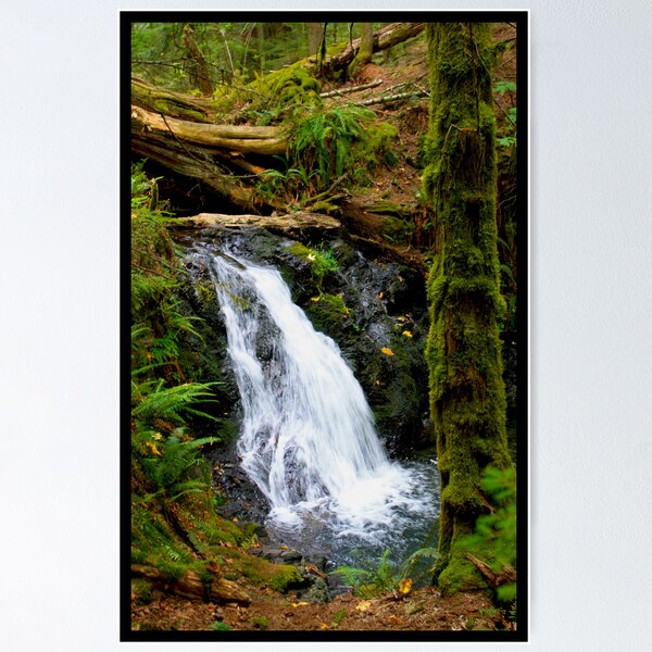 Item preview, Orcas Waterfall 2 designed and sold by Arberndt.