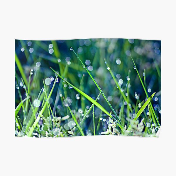 Gorgeous Green Bokeh Morning Poster