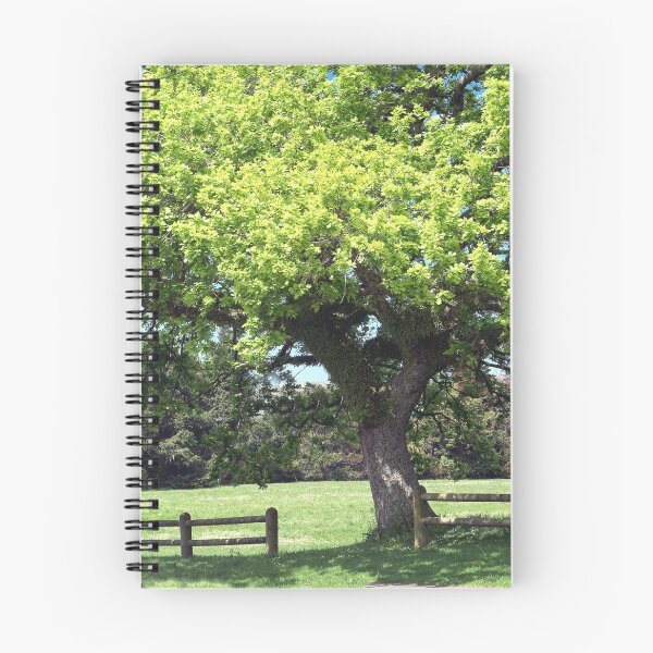 Item preview, Oak Tree in it's beautiful spring coat...........!! designed and sold by Roy  Massicks.