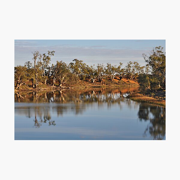 Darling River Anabranch Photographic Print