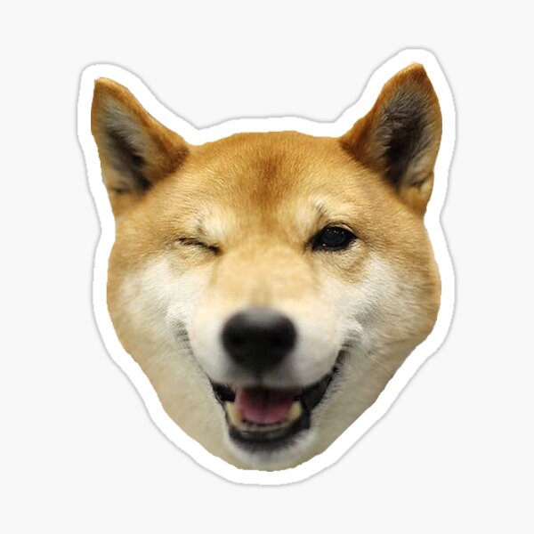 “Cheeky Shiba Inu” Sticker by avit1 | Redbubble
