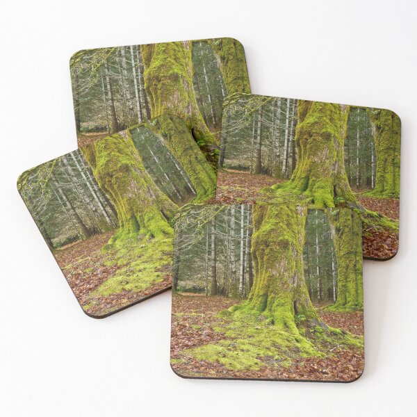 Item preview, MAMOTH TREES ARE "MELTING" IN THE PARK designed and sold by Elaine Bawden.