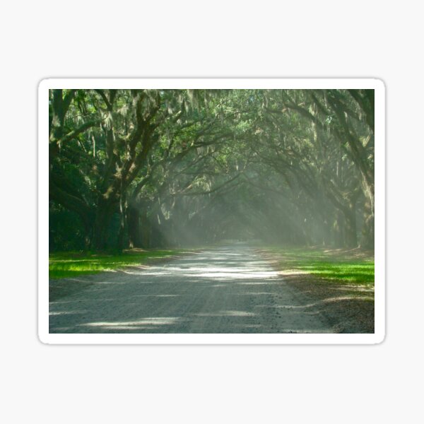 Item preview, Sunshines through the Old Oaks onto the Dirt Road designed and sold by 2CrabbySisters.