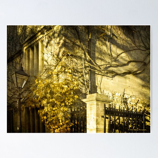 Item preview, St. John's College Gate designed and sold by David's Photoshop.